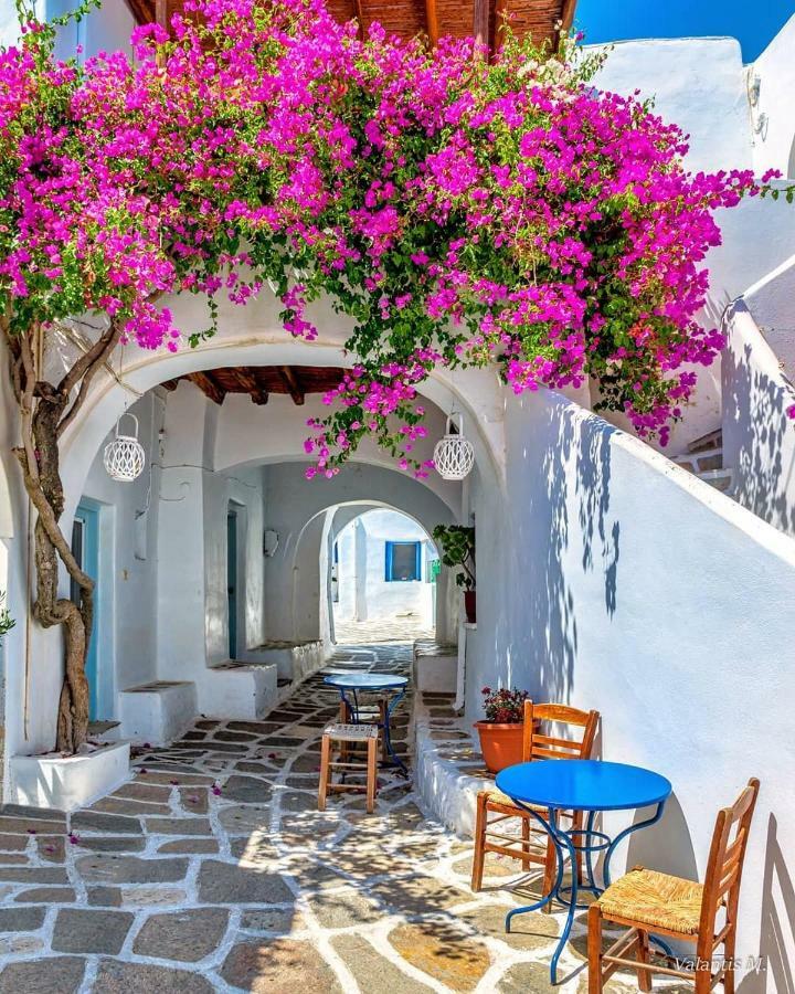 Villa Kavalli Paros Dhragoulas 外观 照片